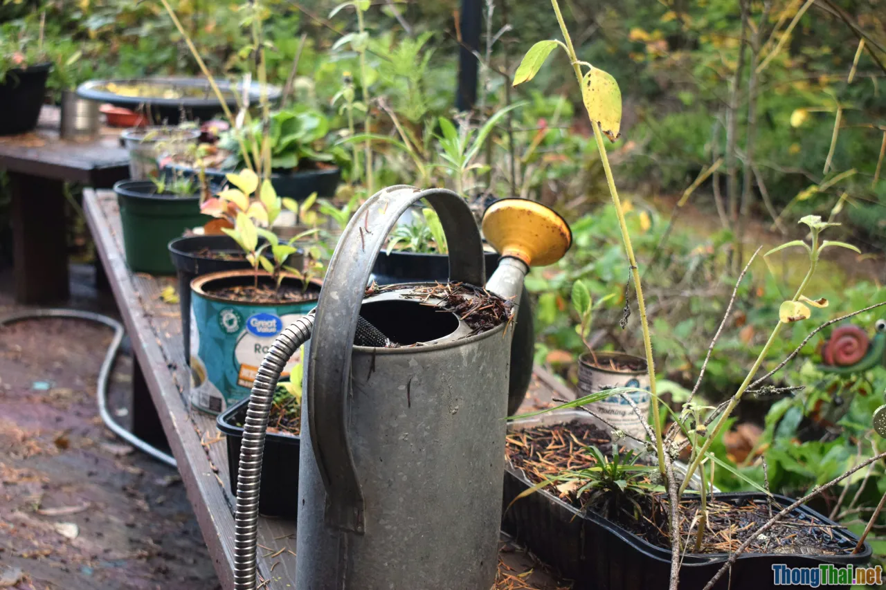 workflow, repurposing, crossposting, tools