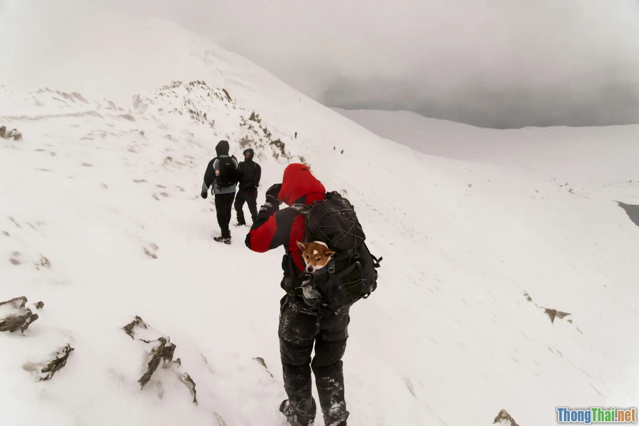 young people , mountain escape, pressure release