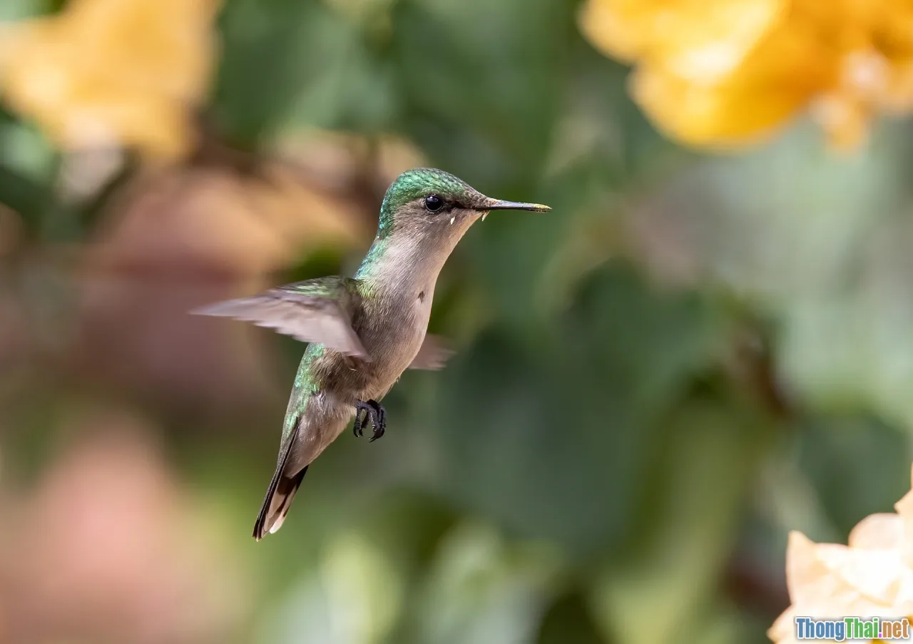 agile, CI/CD, code review, trunk-based