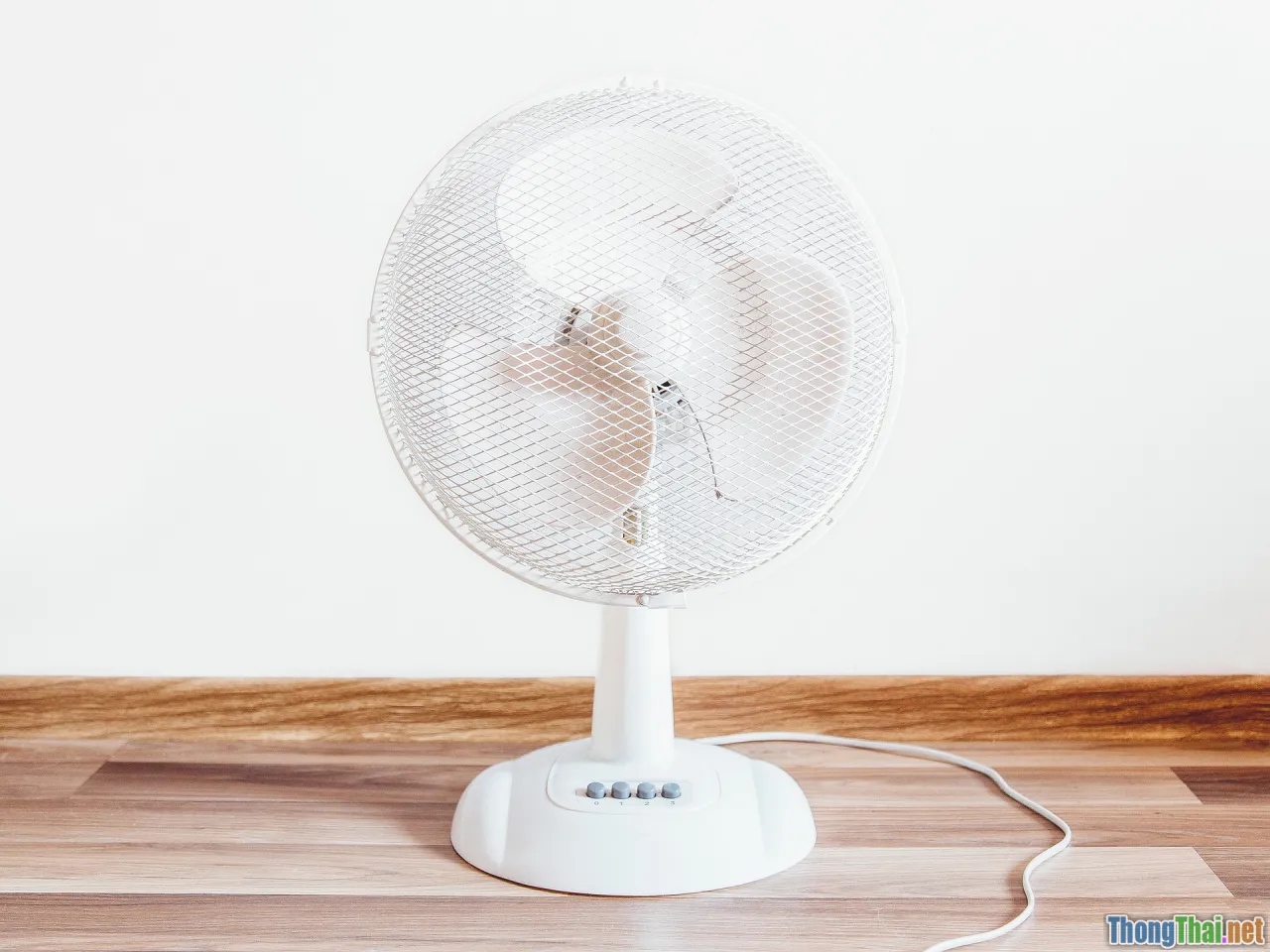 air circulation, fan, ventilation, indoor plants