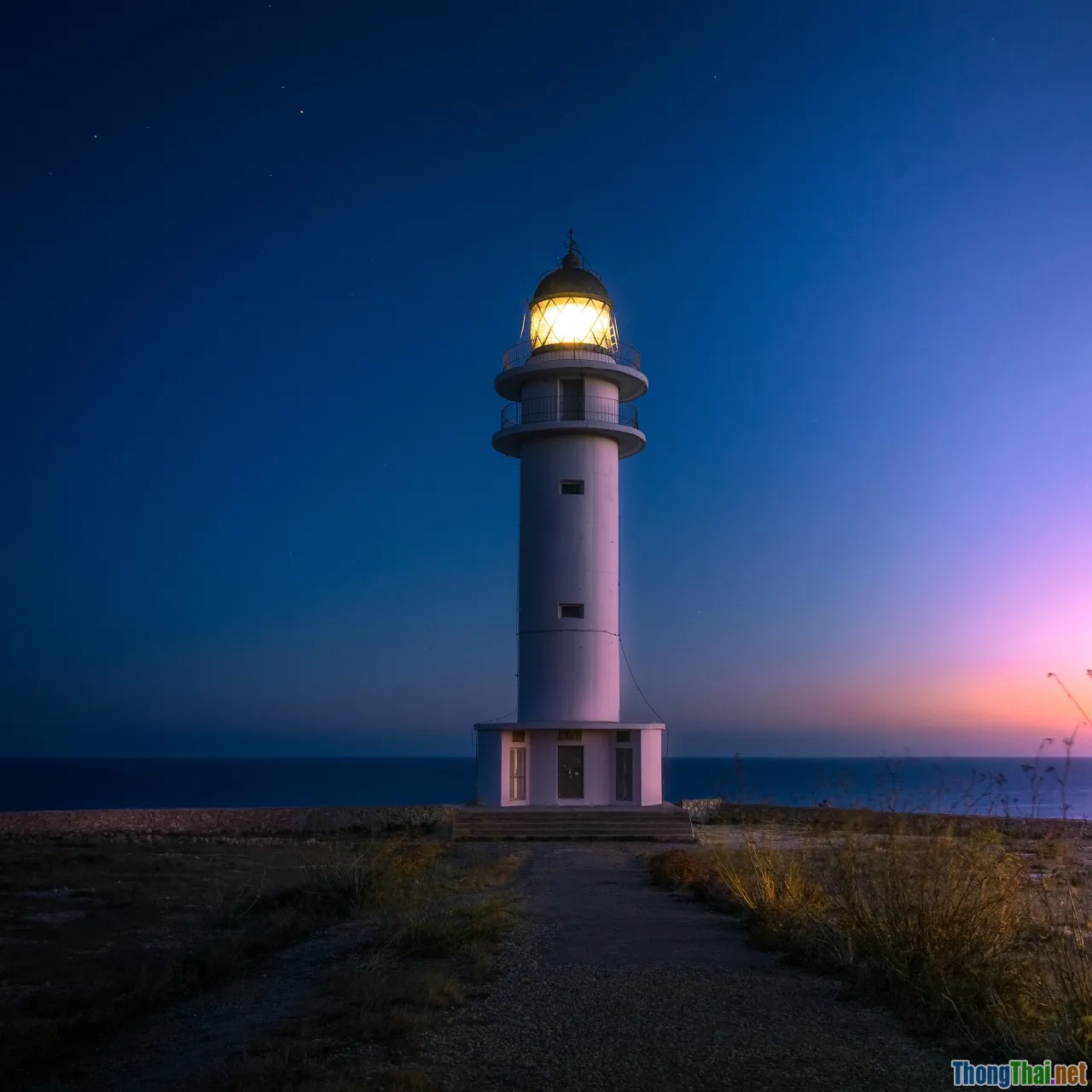 algorithms, reach, engagement, signals