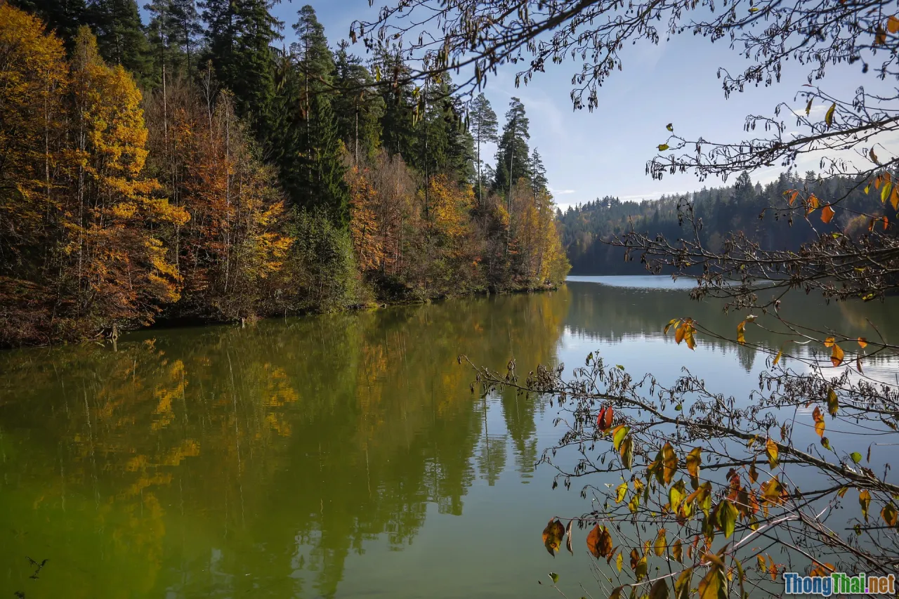 analytics, retention