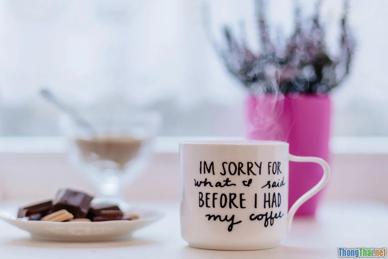 apology, accountability, professionalism