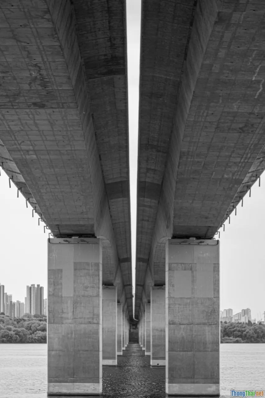 attention span, generalization