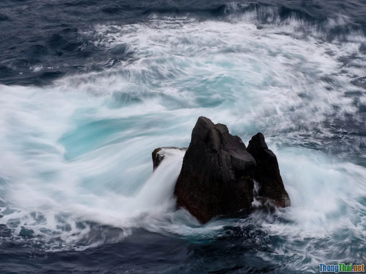 bargaining, comparing prices