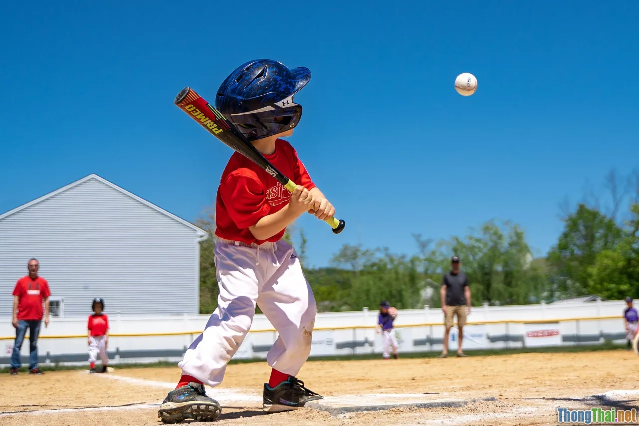 baseball team, statistics, data analysis, Brad Pitt