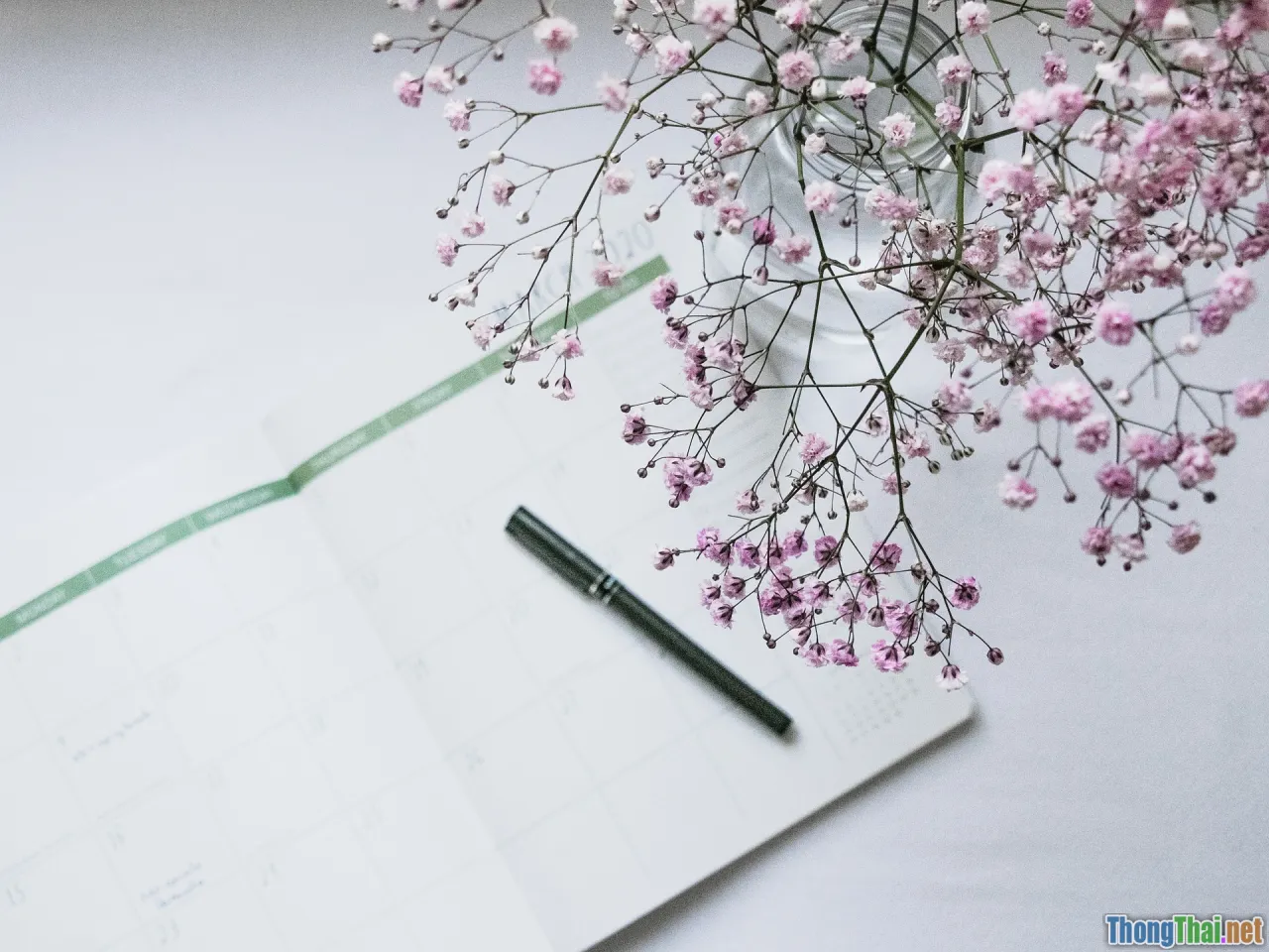 beauty schedule, planner, routine calendar