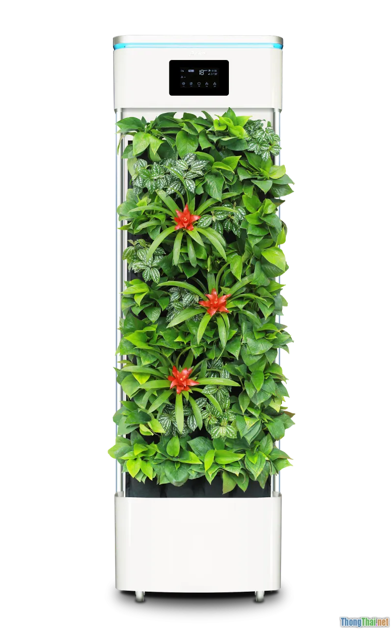 bedroom plants, air purifier, relaxing sound