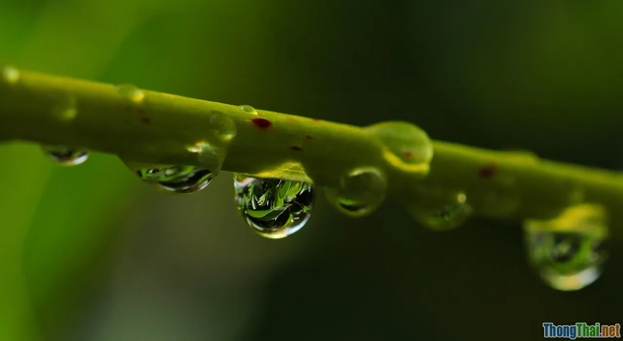 before after, macro shot, asmr