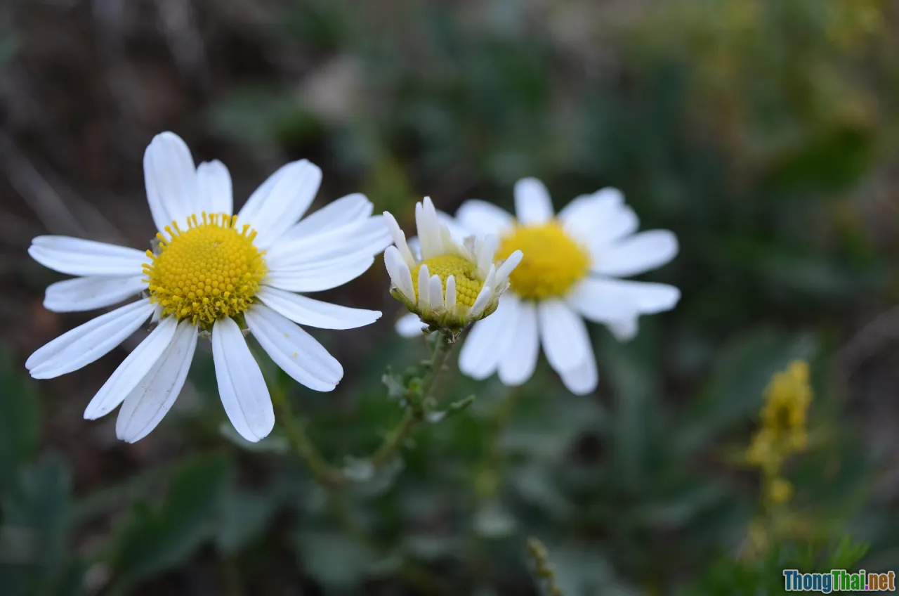 before after, small apartment