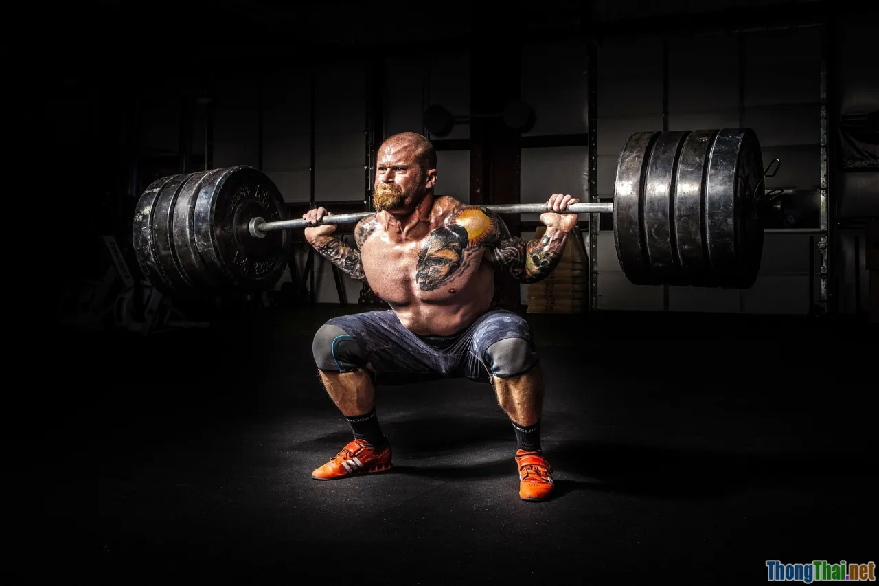 brain, hormones, body power