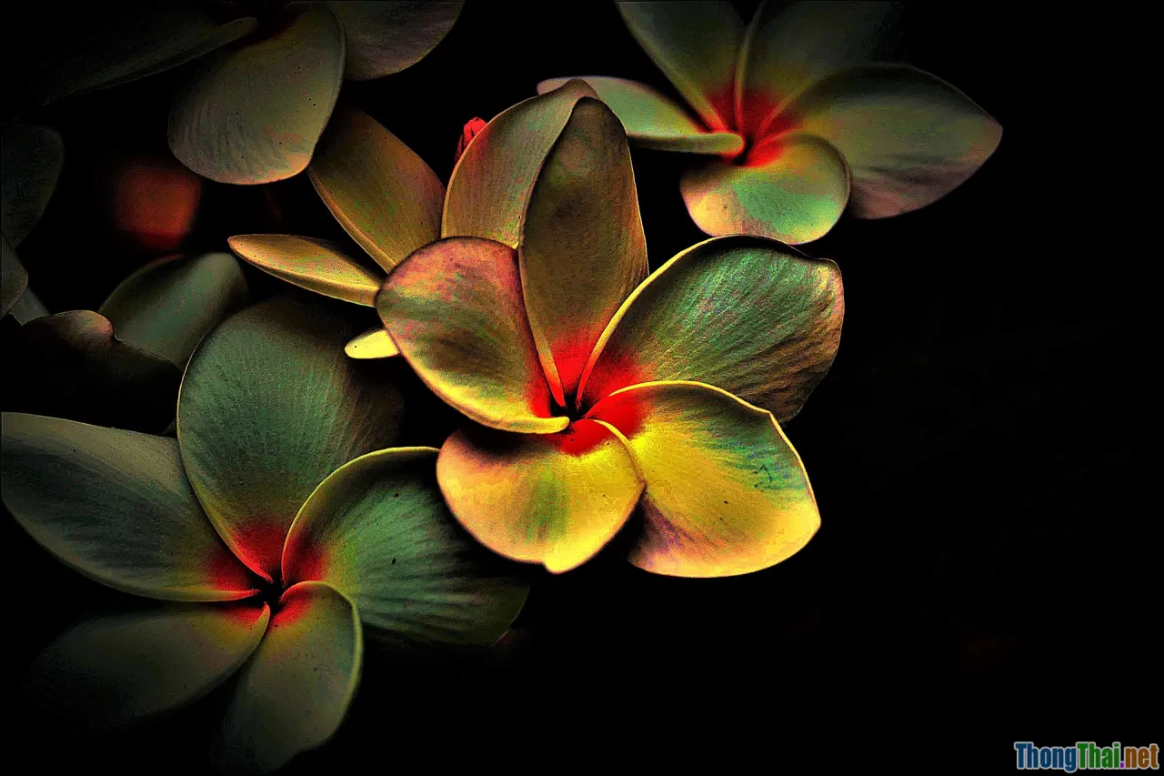 business diversity, multi sector