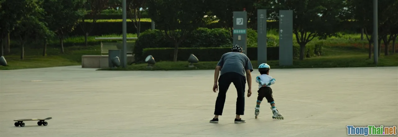 case study, data, results