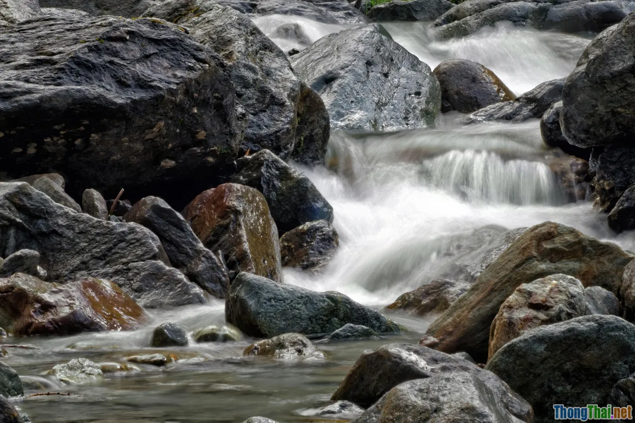 case study, scenario, home wifi, family