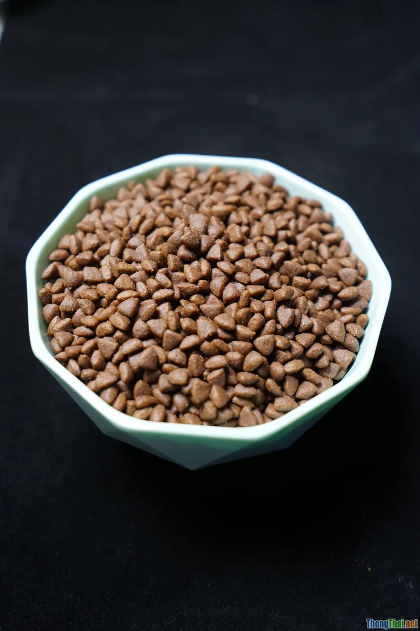 7 Sai lầm khi chọn thức ăn cho mèo