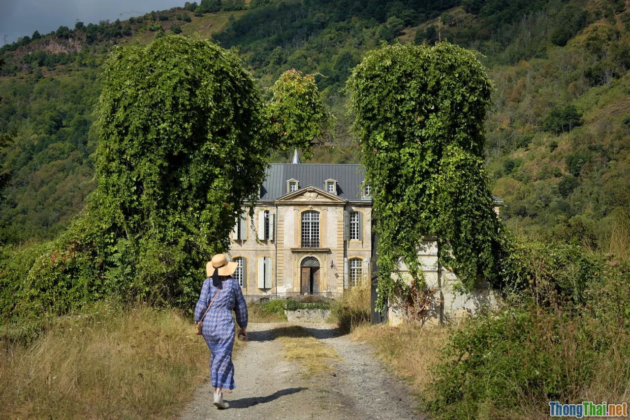 Cat Tien entrance, forest road, national park gate