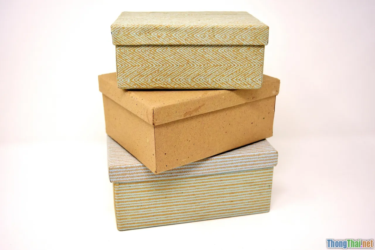 cat tunnel, cardboard box DIY