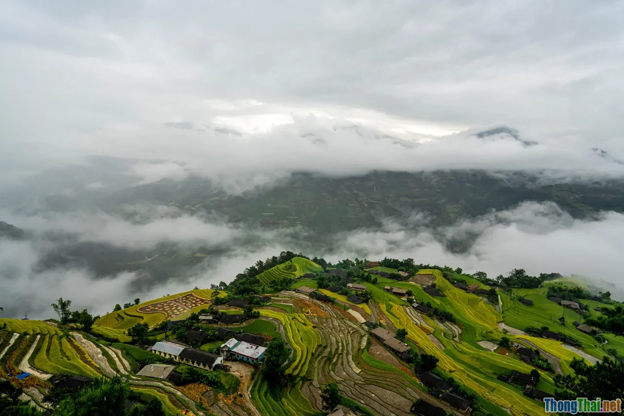 checklist, step by step, beginners guide