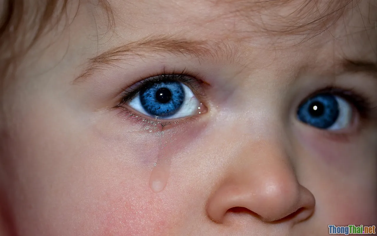 child emotions, moving house