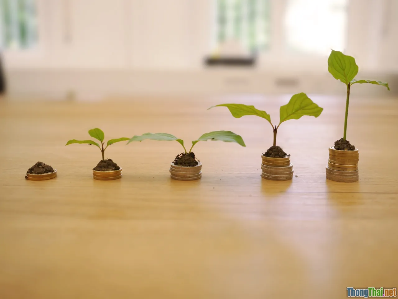 cloud, server cost, business growth