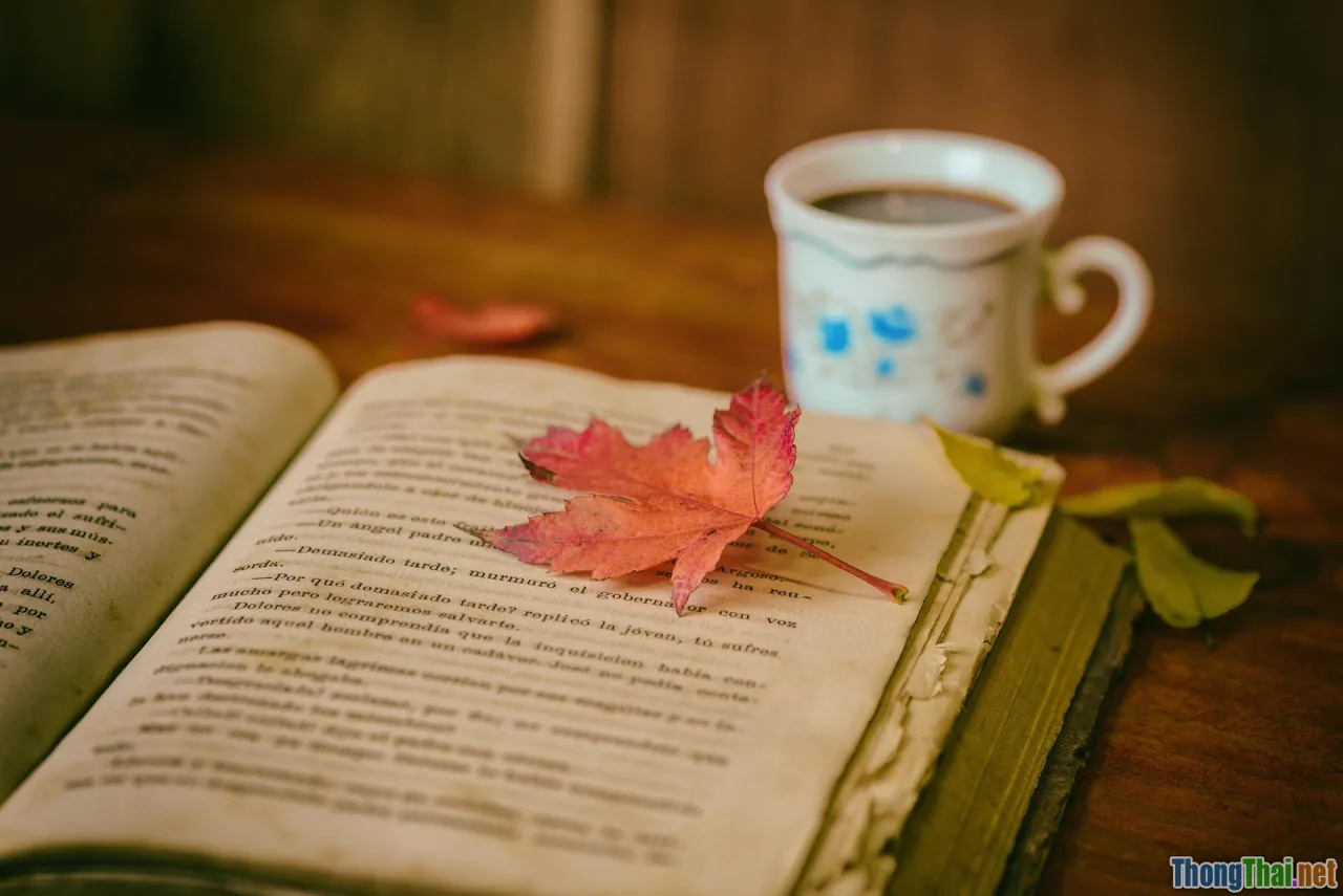 coffee menu, reading, customer