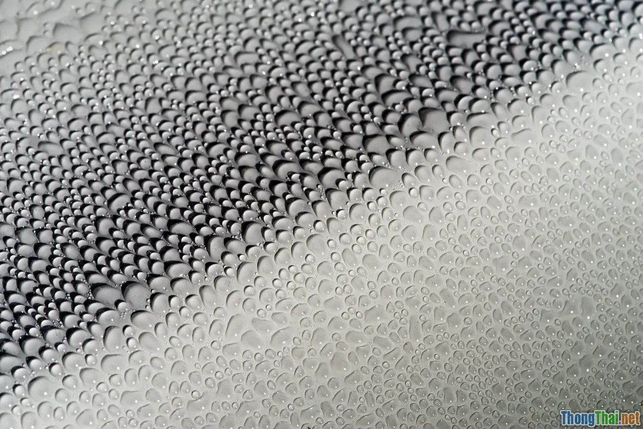 color, reflectance, coating