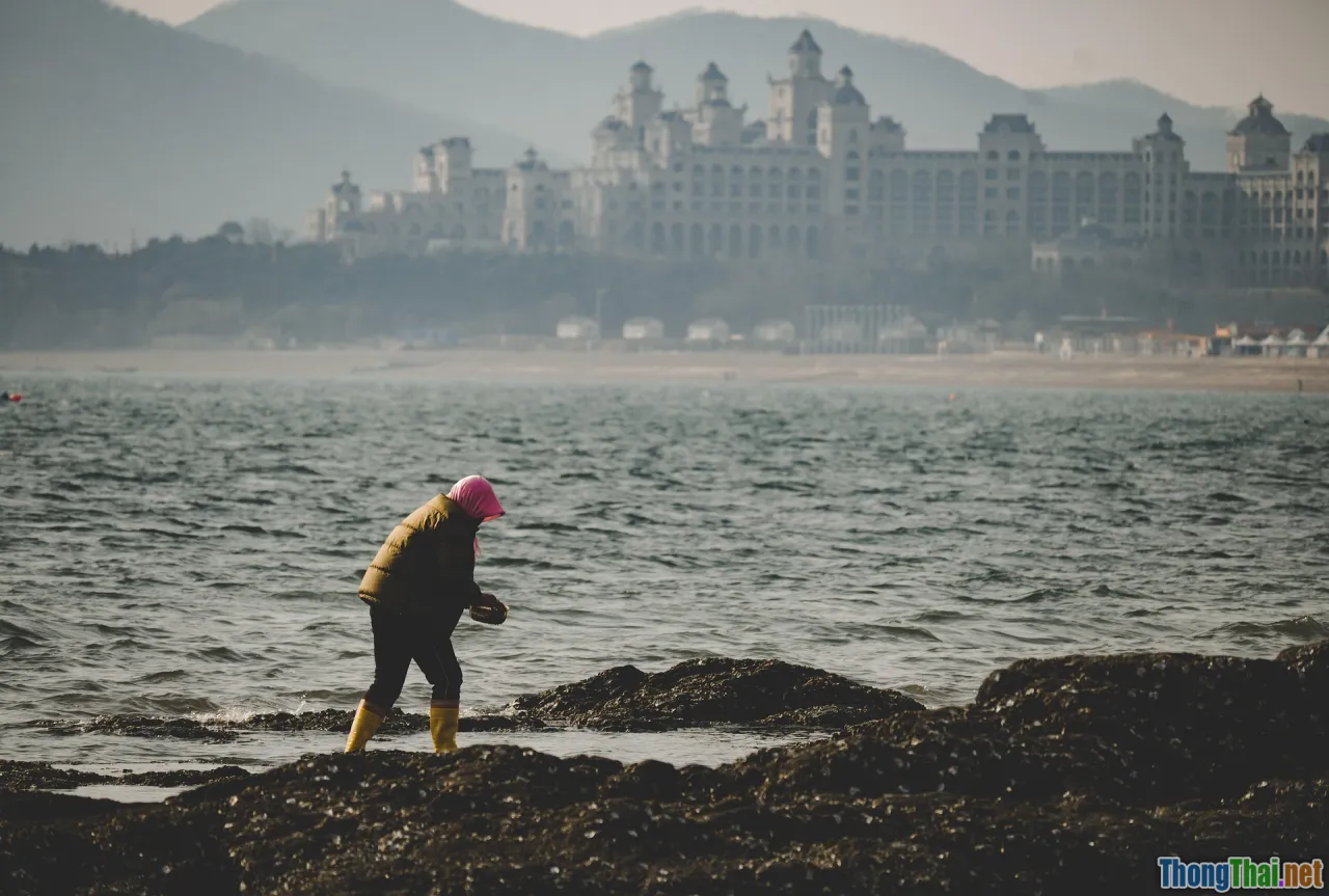 community, livelihoods, artisans, heritage