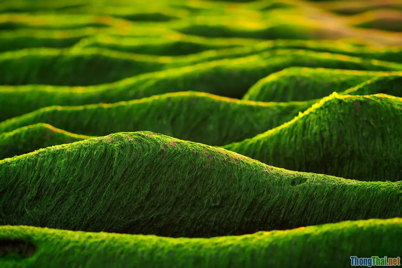 comparison, old vs new