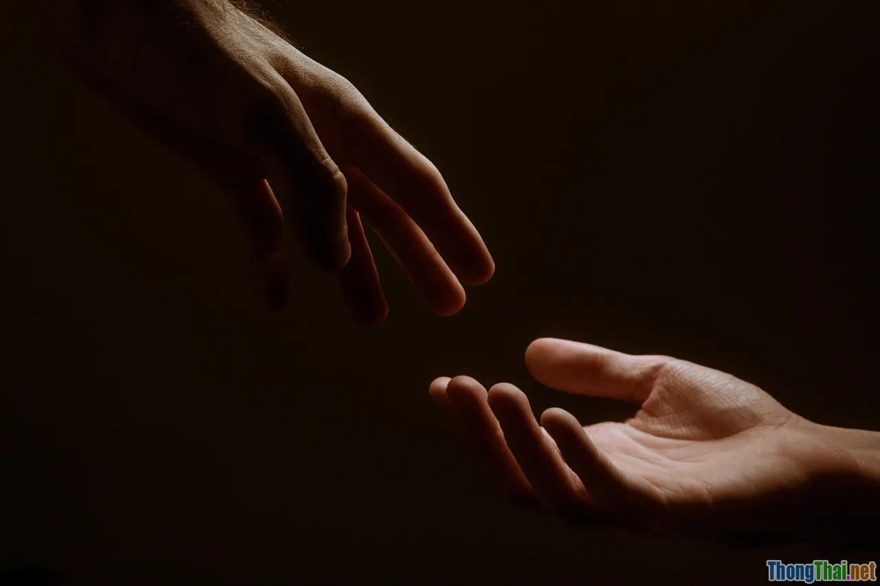 compassion, heart, human connection