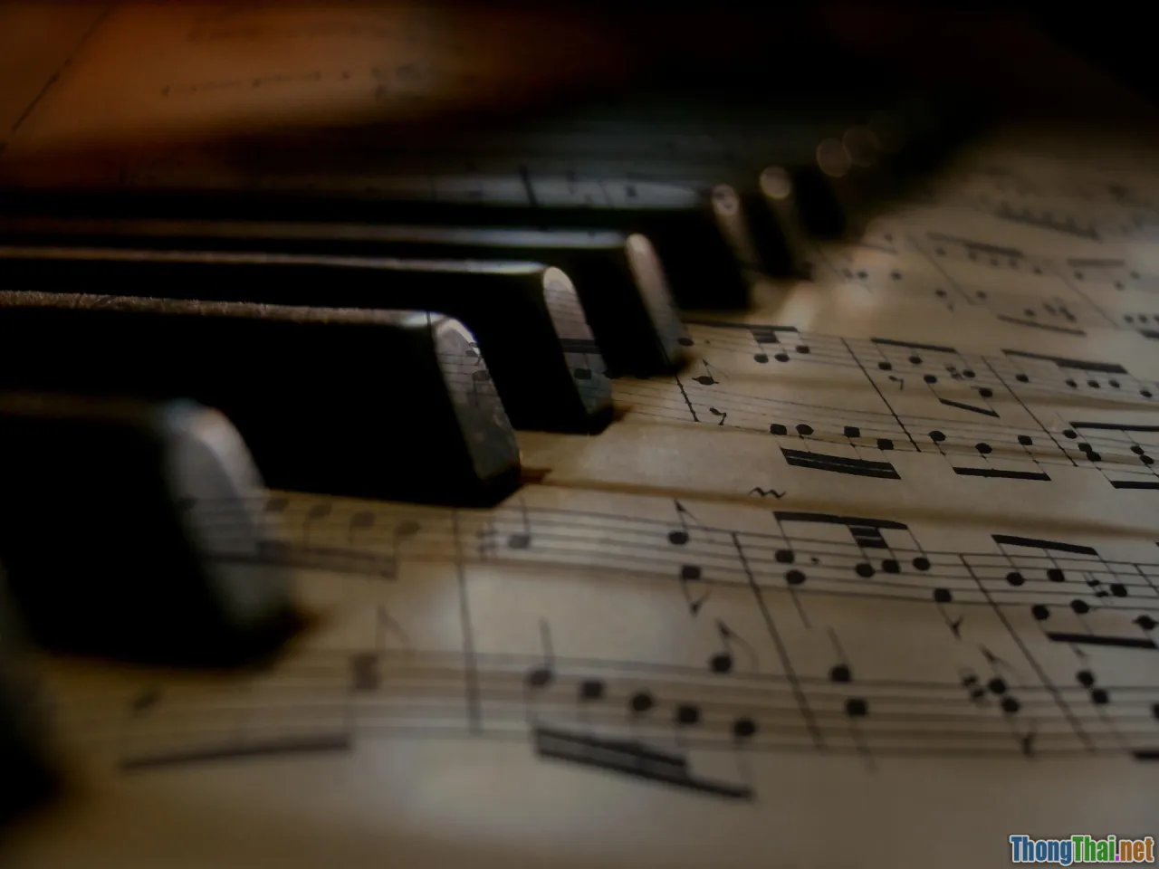 compose profiles, healthcheck, volumes