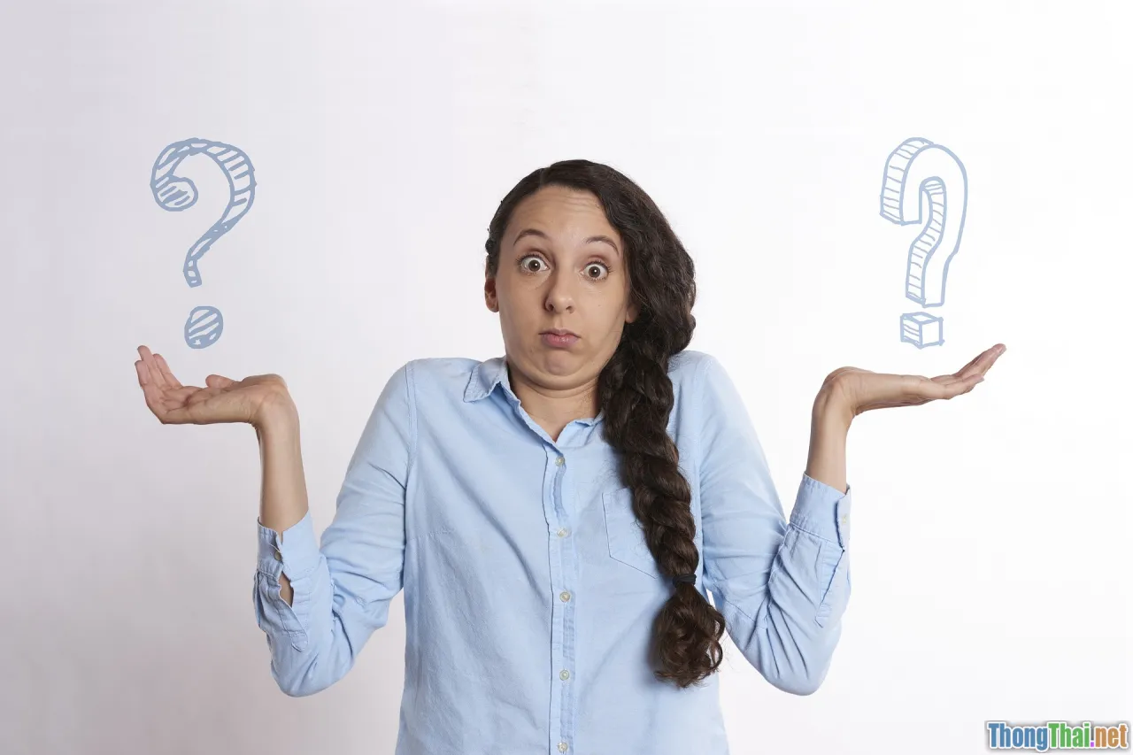 content comparison, decision making, options