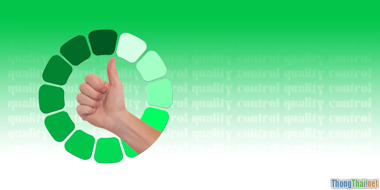 content quality assurance, plagiarism check