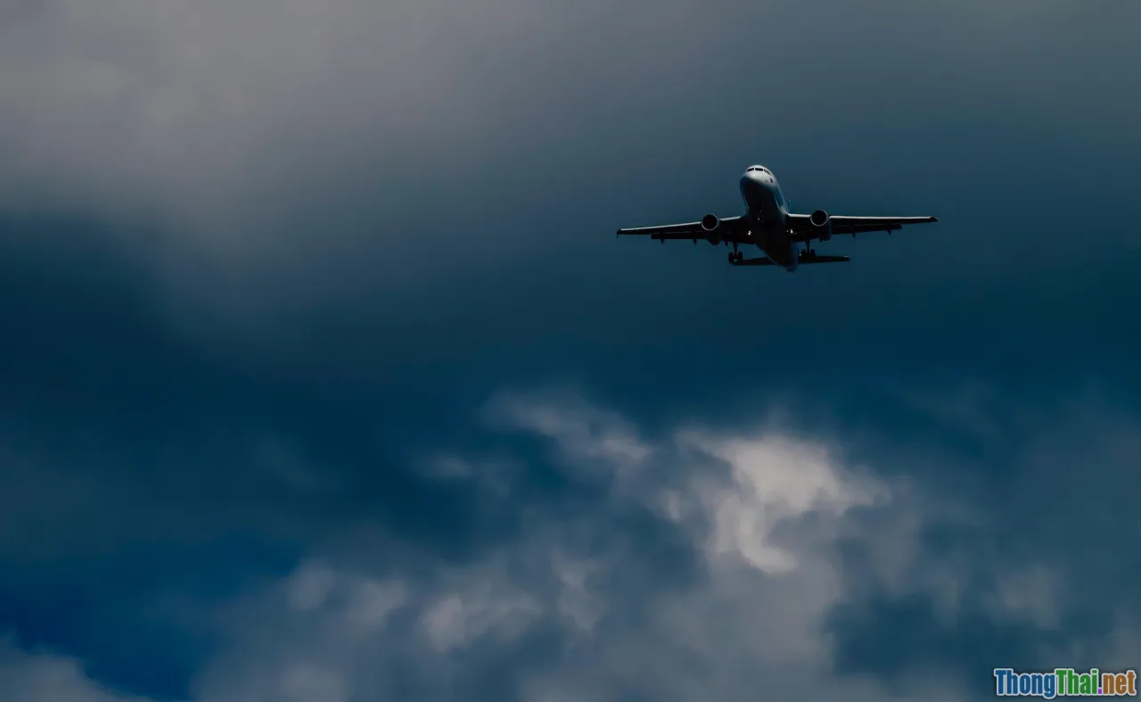 cost comparison, DIY, sustainability, CO2