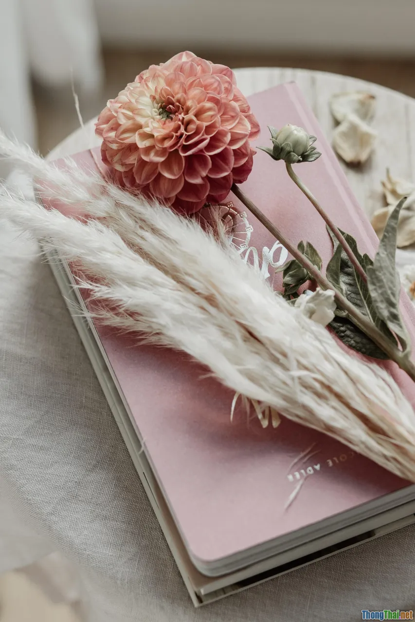 creative learning, portfolio, animation careers