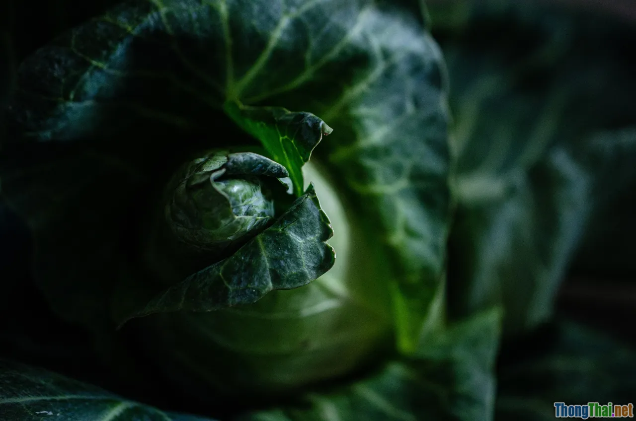 crop yield, precision agriculture, farm success