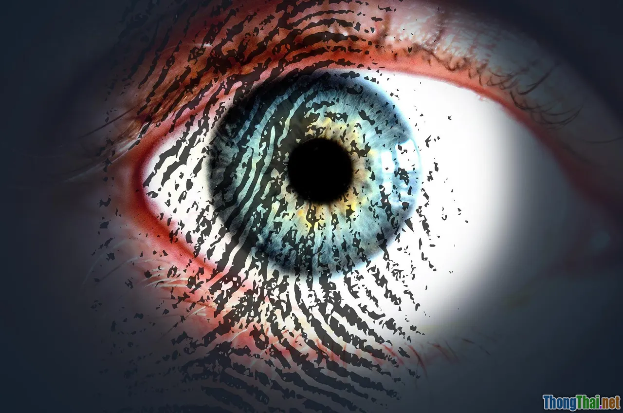 cyber security, fingerprint scan, encryption