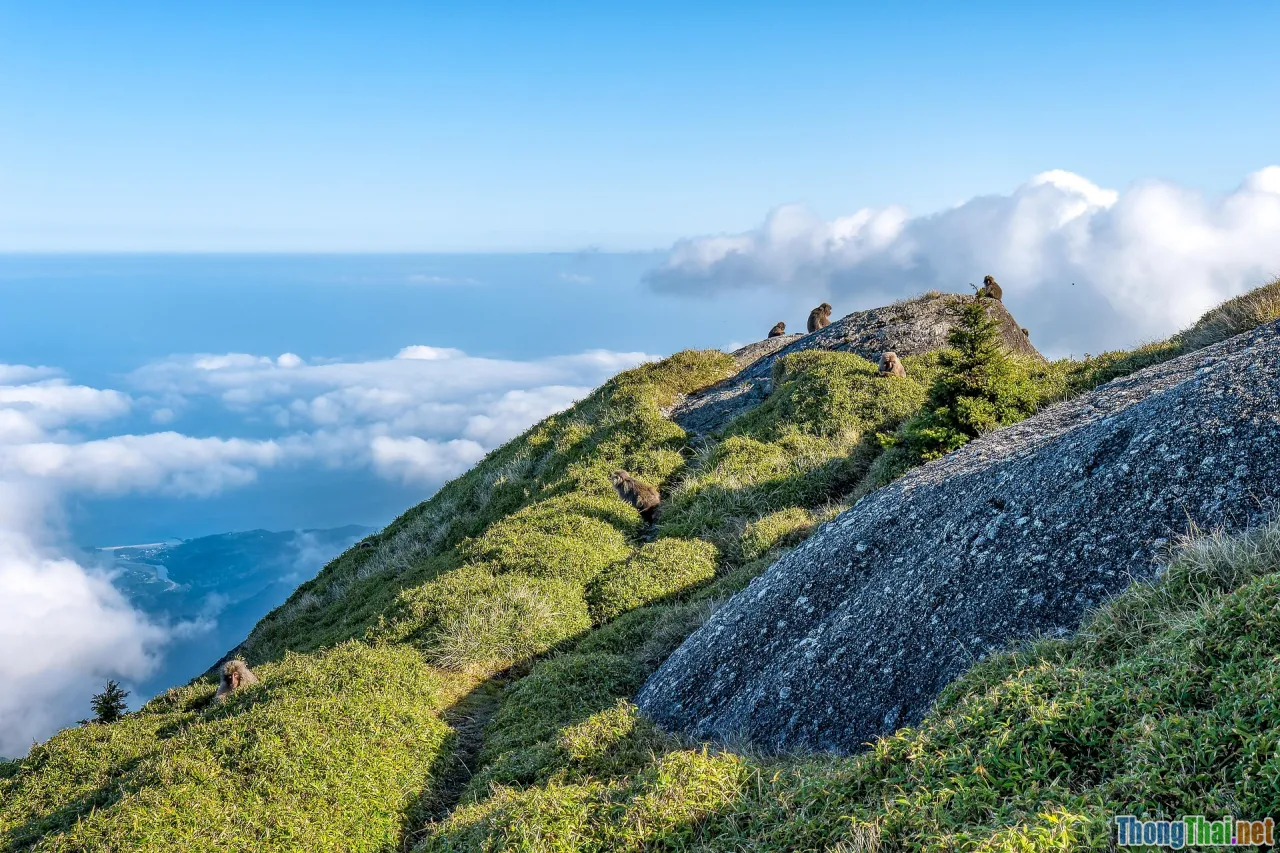 db differences, postgres, mysql, oracle, sqlserver