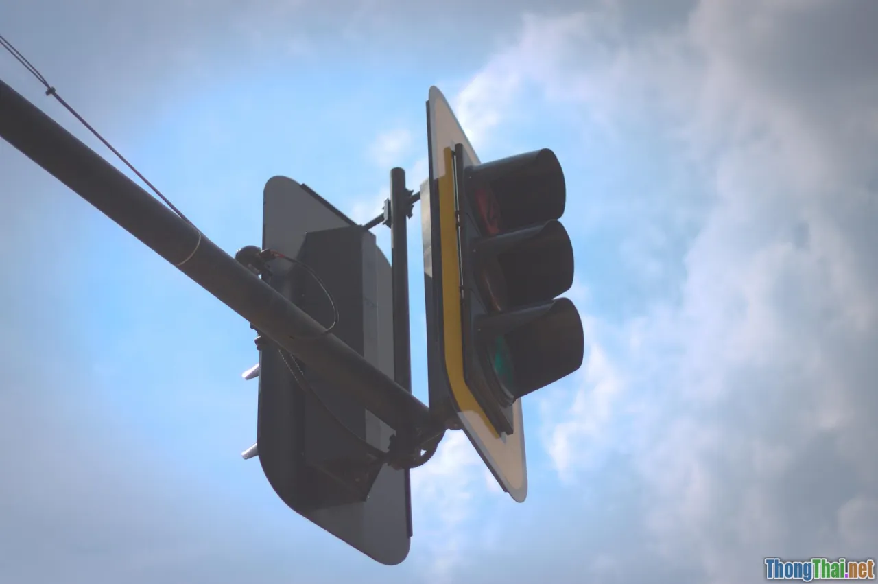 decision tree, quick guide, workflow, productivity