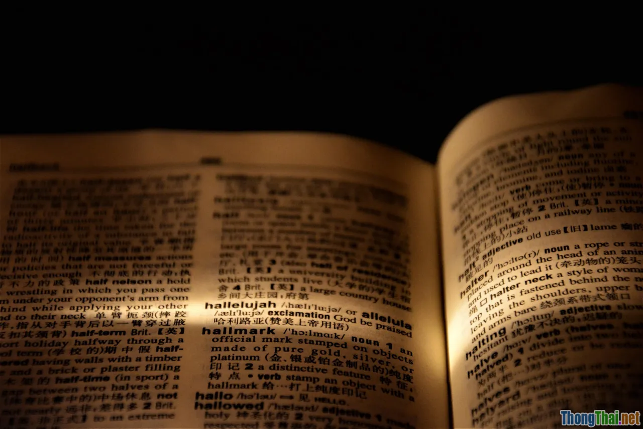 definition, linguistics, basics, concept