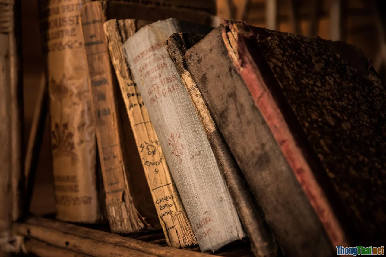 digital heritage, online archive, transparency