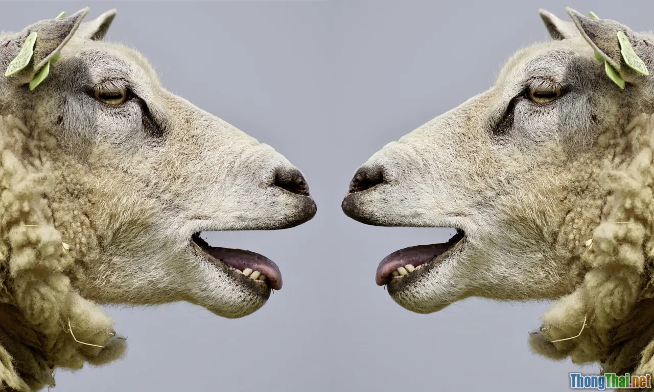 discussion, controversy