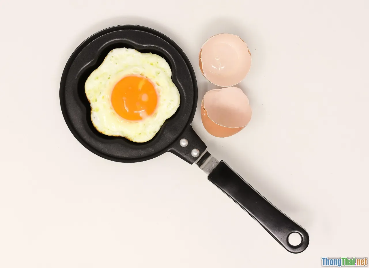 drain line, condensate pan, algae