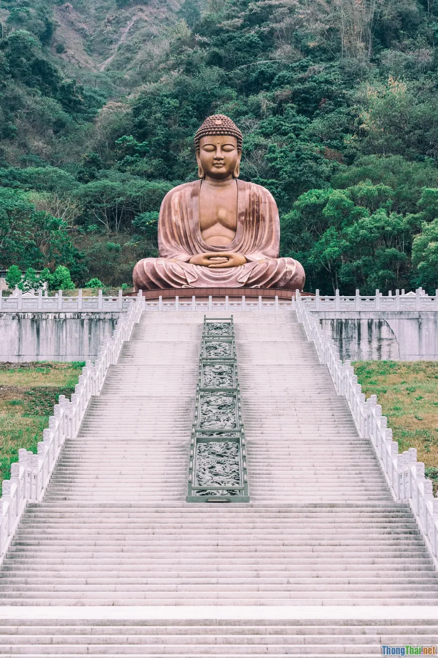 eco tourism, green travel, nature, pagoda leaf