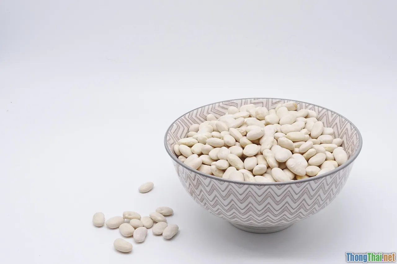 elderly protein, bone recovery food