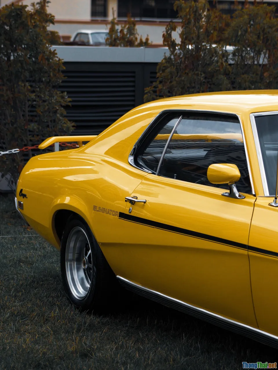 Người tiêu dùng nên chọn xe điện hay xăng