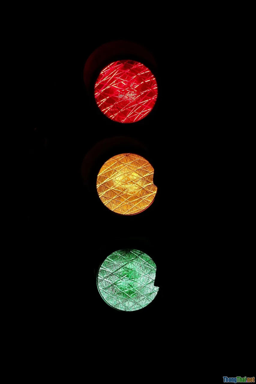 emotional regulation, cognitive control