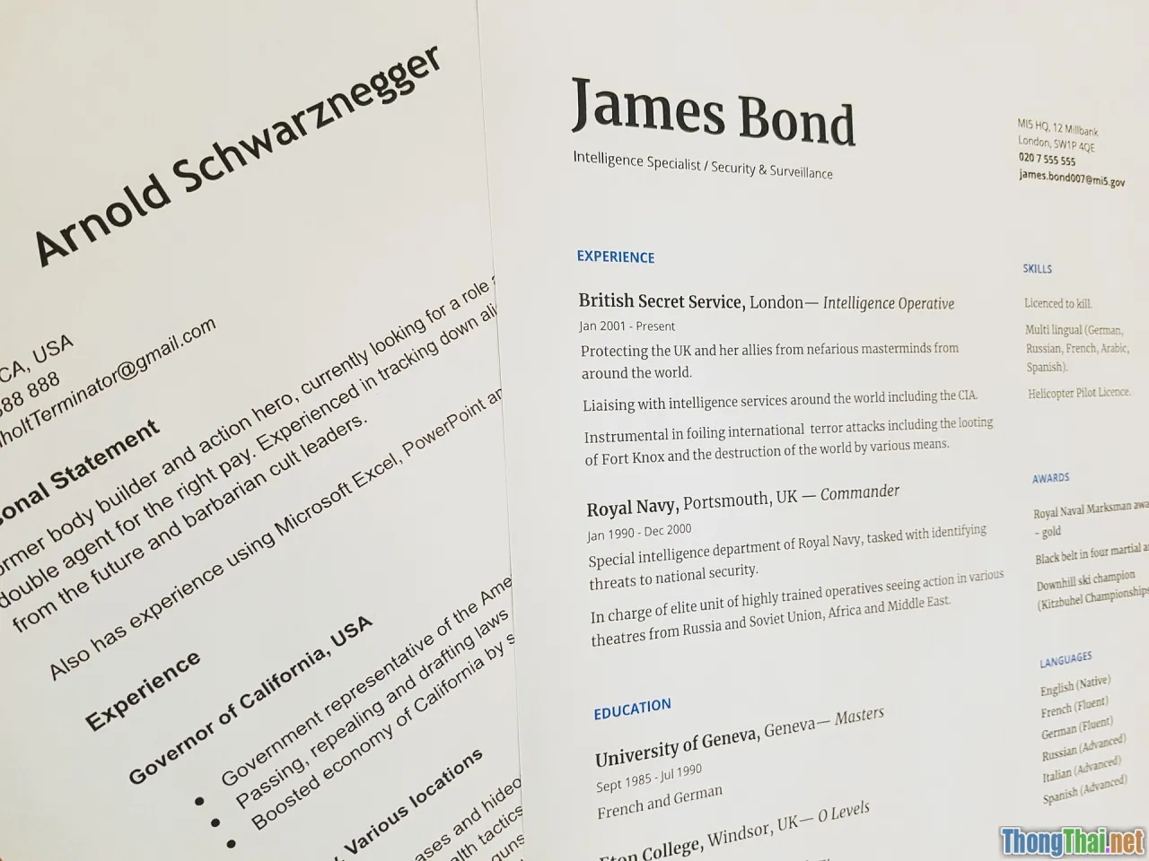 employment interview, resume, application tips