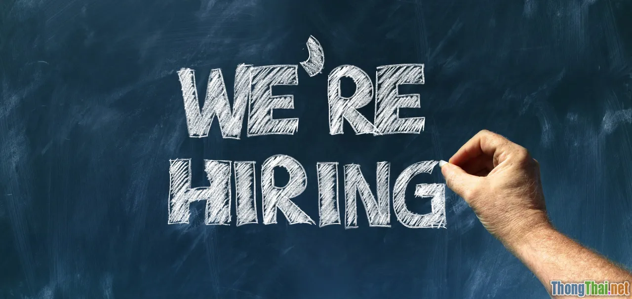 employment rate, job placement, skilled workers