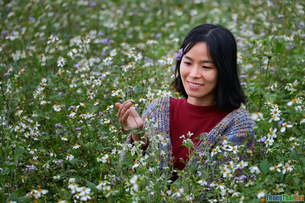 English r sound, mouth shape, IPA phonetics