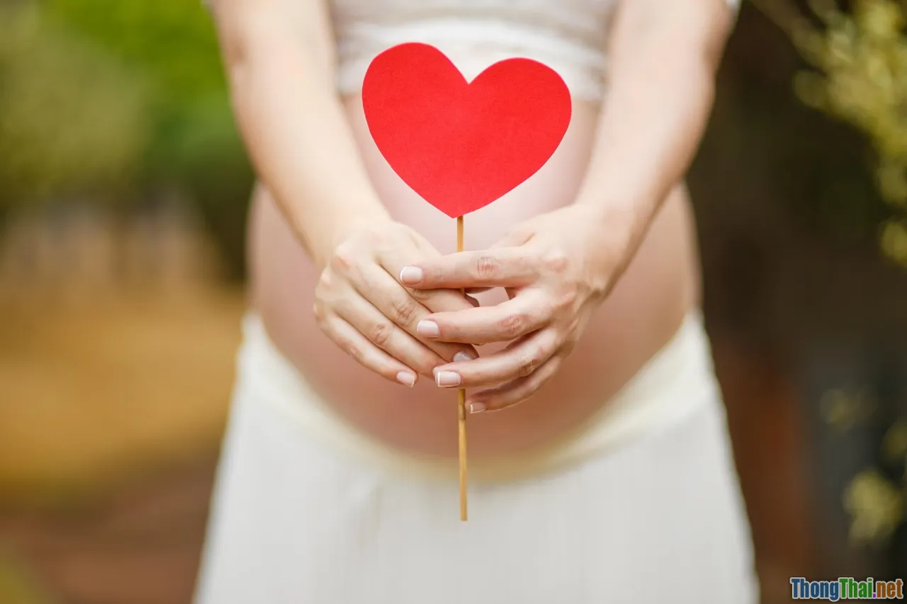 essay types, question practice, adaptability